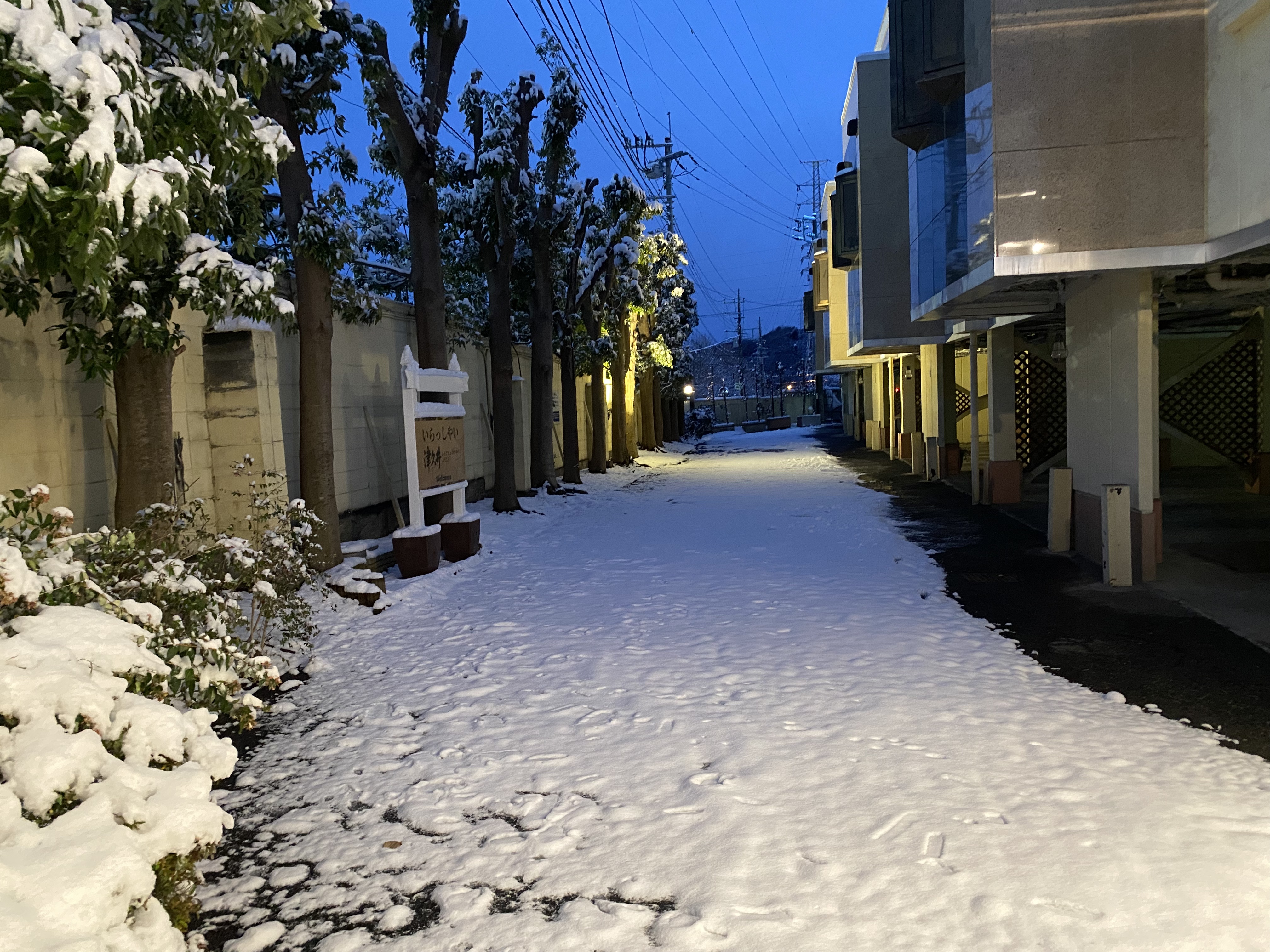 夜景
